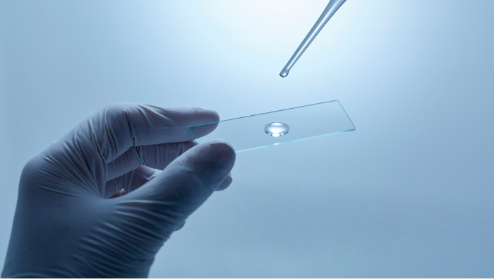 Faculty of Basic Medical Sciences